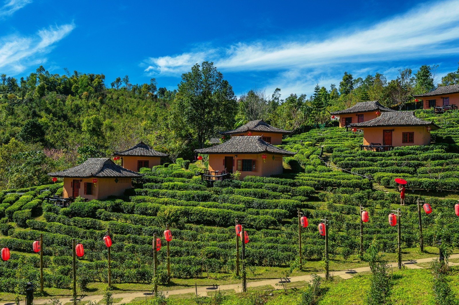SRILANKA TRIP
